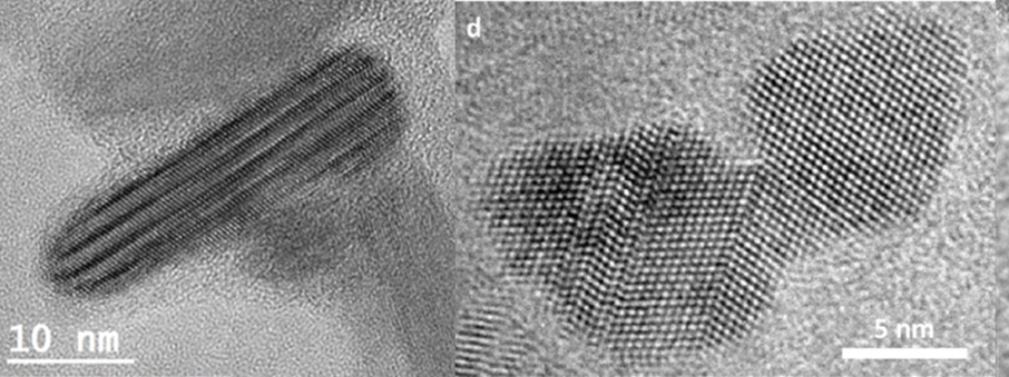 Transmission electron micrographs of biogenic nanocrystals